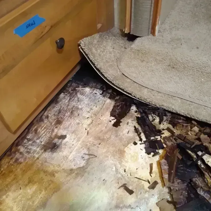 Best Wood Floor Water Damage Service in Mount Horeb, WI